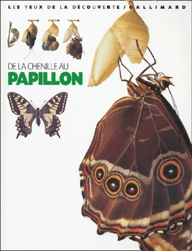 Livrenpoche : De la chenille au papillon - Paul Whalley - Livre