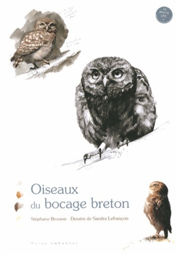Livrenpoche : Oiseaux du bocage breton - Stéphane Brousse - Livre