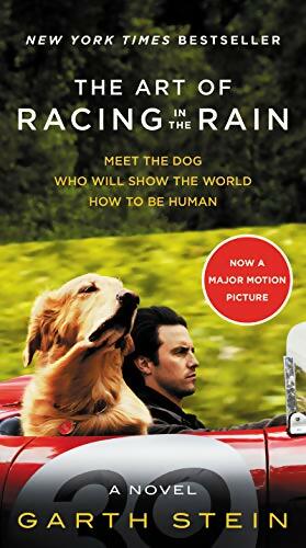 Livrenpoche : The art of racing in the rain - Garth Stein - Livre