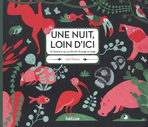 Livrenpoche : Une nuit, loin d'ici - Julia Wauters - Livre