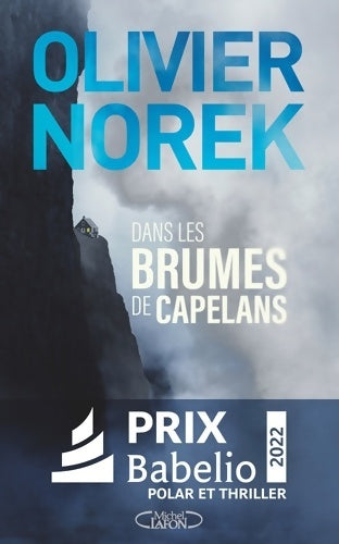 Livrenpoche : Dans les brumes de Capelans - Olivier Norek - Livre