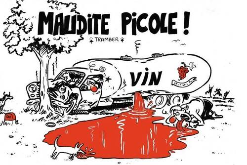 Livrenpoche : Maudite Picole ! - Tramber - Livre