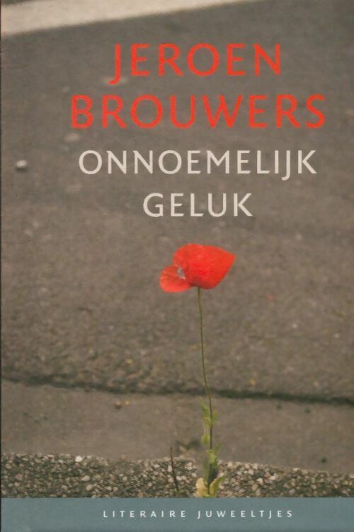Livrenpoche : Onnoemelijk geluk - Jeroen Brouwers - Livre