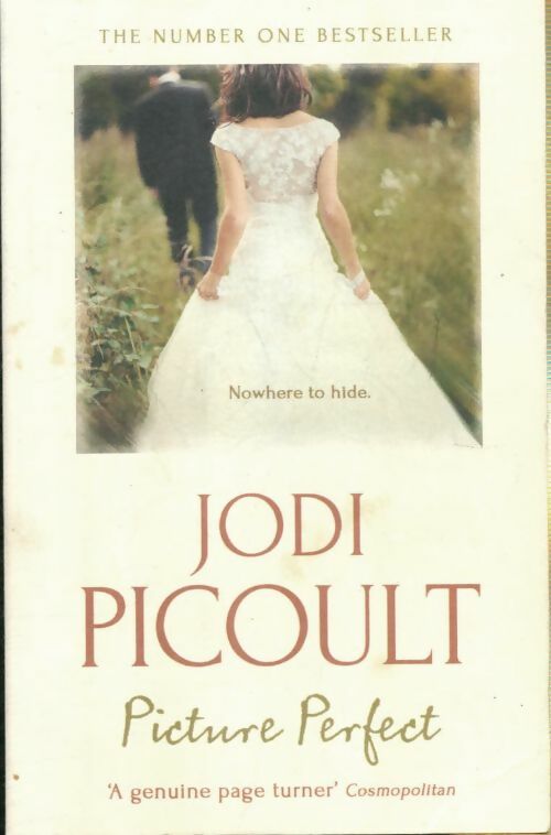 Livrenpoche : Picture perfect - Picoult Jodi - Livre