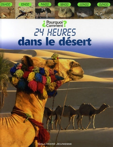 Livrenpoche : 24 heures Dans le désert - elizabeth Haldane - Livre