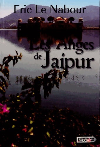 Livrenpoche : Les anges de Jaïpur - Eric Le Nabour - Livre