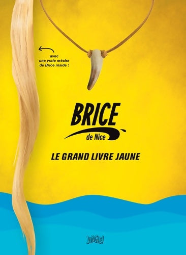 Livrenpoche : Brice de Nice. Le grand livre jaune - Collectif - Livre