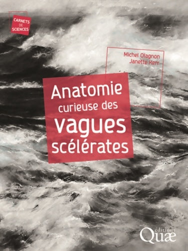 Livrenpoche : Anatomie curieuse des vagues scélérates - Janette Kerr - Livre