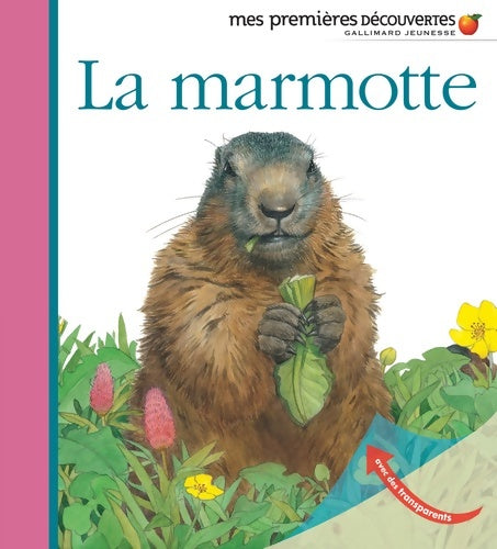 Livrenpoche : La marmotte - Collectif - Livre