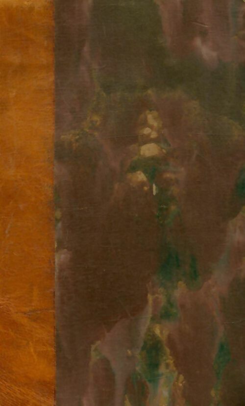 Livrenpoche : Histoire de la littérature anglaise Tome V - Hippolyte Taine - Livre