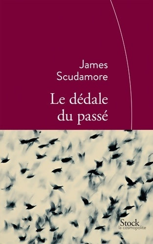 Livrenpoche : Le dédale du passé - James Scudamore - Livre