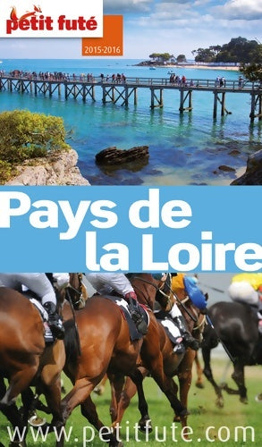 Livrenpoche : Guide pays de la Loire 2015 petit futé - Dominique Auzias - Livre