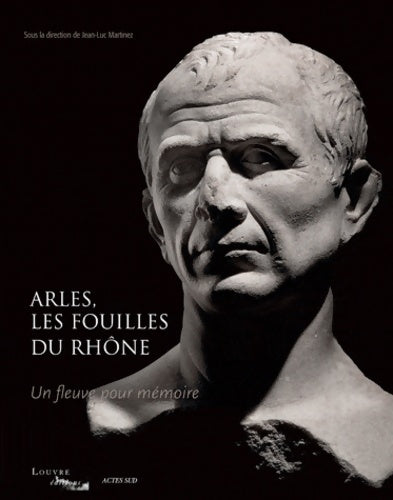 Livrenpoche : Arles les fouilles du rhône : Un fleuve pour mémoire - Pascale Picard - Livre
