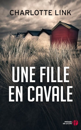 Livrenpoche : Une fille en cavale - Charlotte Link - Livre