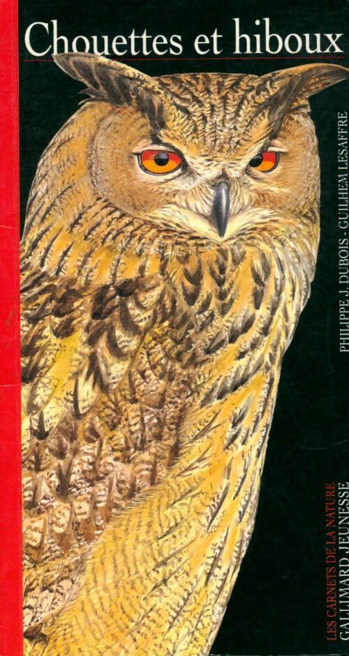 Livrenpoche : Chouette et hiboux - Collectif - Livre