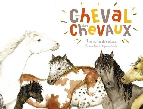 Livrenpoche : Un cheval des chevaux - Françoise Laurent - Livre