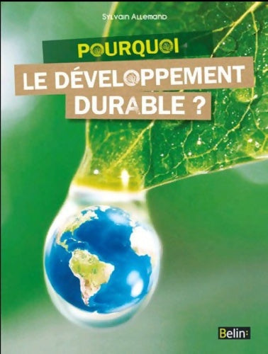 Livrenpoche : Pourquoi le développement durable? - Sylvain Allemand - Livre