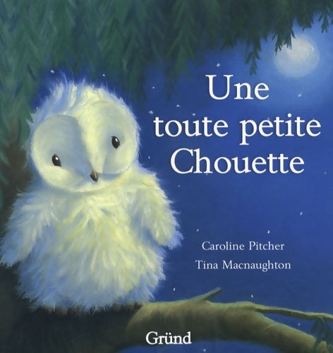 Livrenpoche : Toute petite chouette - Caroline Pitcher - Livre