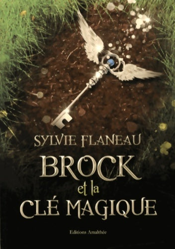 Livrenpoche : Brock et la clé magique - Flaneau-s - Livre