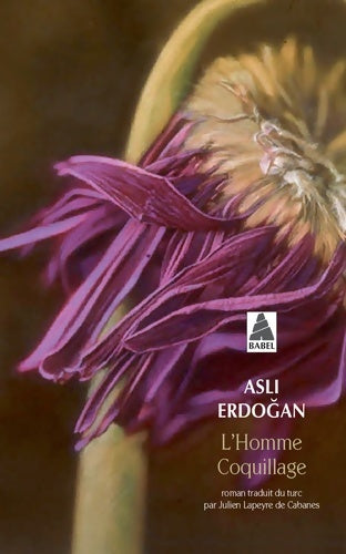 Livrenpoche : L'homme coquillage - Asli Erdogan - Livre