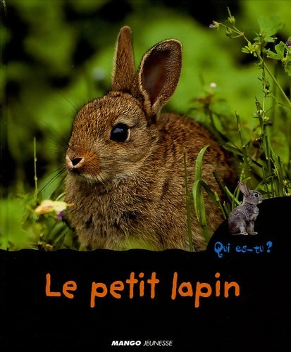 Livrenpoche : Le petit lapin - Colette Barbe-julien - Livre