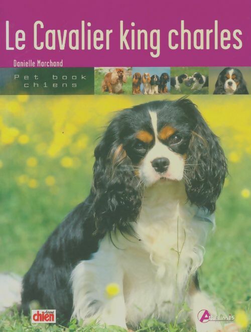 Livrenpoche : Le cavalier King Charles - Danielle Marchand - Livre