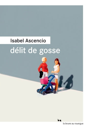 Livrenpoche : Délit de gosse - isabel Ascencio - Livre