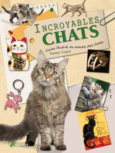 Livrenpoche : Incroyables chats - Tammy Gagne - Livre
