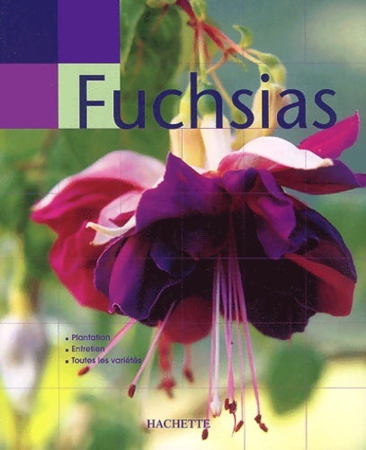 Livrenpoche : Main verte : Fuchsias - David Clark - Livre