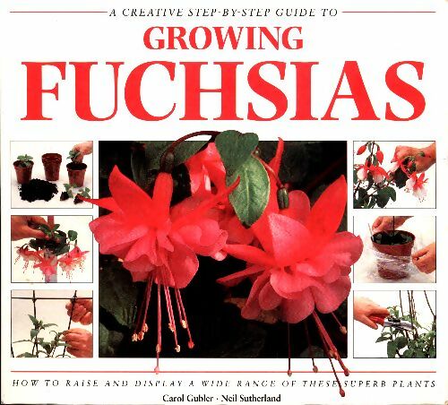 Livrenpoche : A Creative step by step guide to growing fuchsias - Unknown - Livre