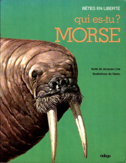 Livrenpoche : Qui es-tu ? morse - Jacques Line - Livre