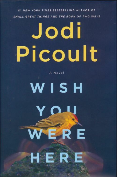 Livrenpoche : Wish you were here - Jodi Picoult - Livre