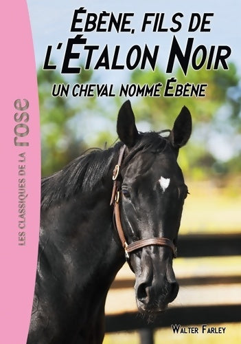 Livrenpoche : Ebène, fils de l'étalon noir Tome II : Un cheval nommé Ebène - Steven Farley - Livre