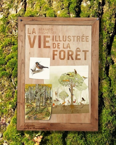 Livrenpoche : La vie illustrée de la forêt - Bernard Fischesser - Livre