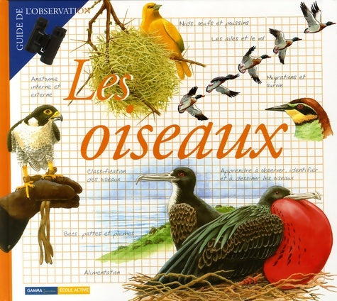Livrenpoche : Les oiseaux - Maria-Angels Julivert - Livre