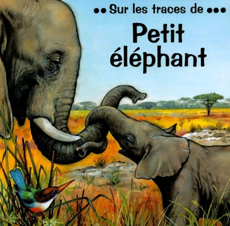 Livrenpoche : Sur les traces de - Pierre Couronne - Livre