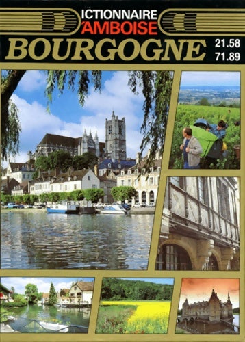 Livrenpoche : Dictionnaire d'amboise : Bourgogne - Anonyme - Livre
