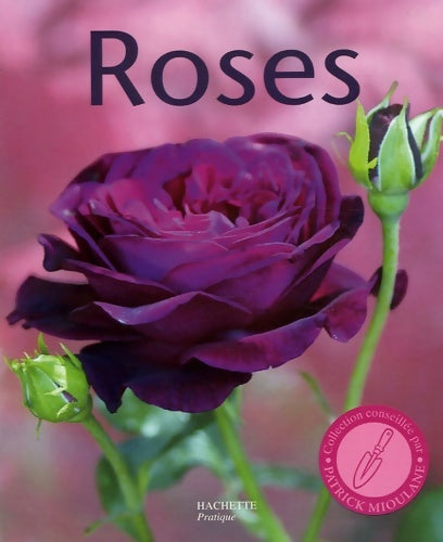 Livrenpoche : Roses - Daniel Brochard - Livre