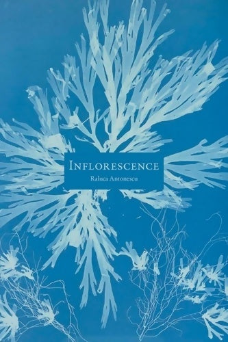 Livrenpoche : Inflorescence - Raluca Antonescu - Livre