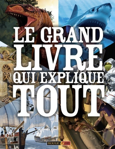 Livrenpoche : Le grand livre qui explique tout - Clive Gifford - Livre