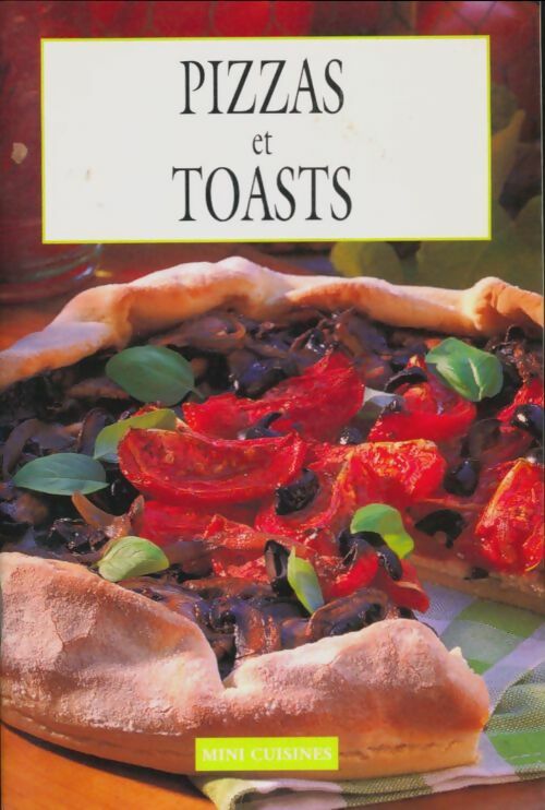 Pizzas et toasts - Anne Wilson -  Mini cuisines - Livre