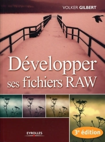 Livrenpoche : Développer ses fichiers raw - Volker Gilbert - Livre
