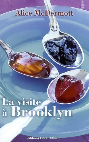 Livrenpoche : La visite à Brooklyn - Alice McDermott - Livre