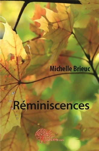 Livrenpoche : Réminiscences - Michelle Brieuc - Livre