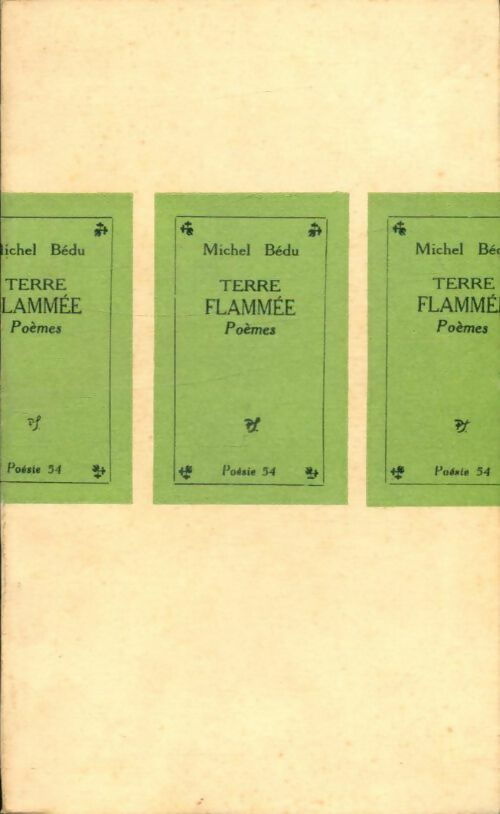Livrenpoche : Terre flammée - Michel Bédu - Livre