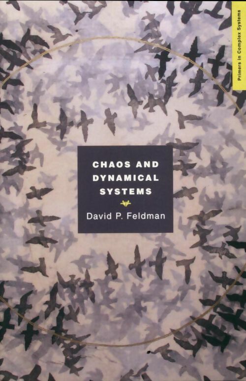 Livrenpoche : Chaos and dynamical systems - David Feldman - Livre