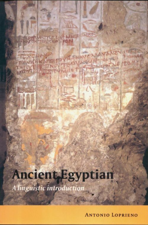 Livrenpoche : Ancient egyptian - Antonio Loprieno - Livre