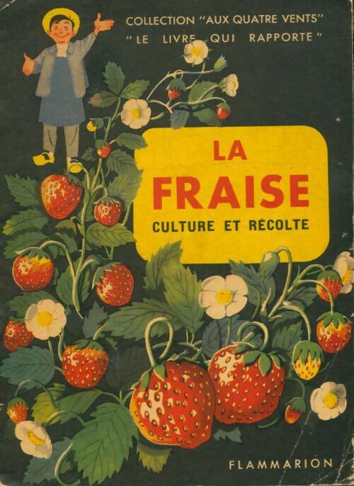 Livrenpoche : La fraise culture et récolte - Collectif - Livre