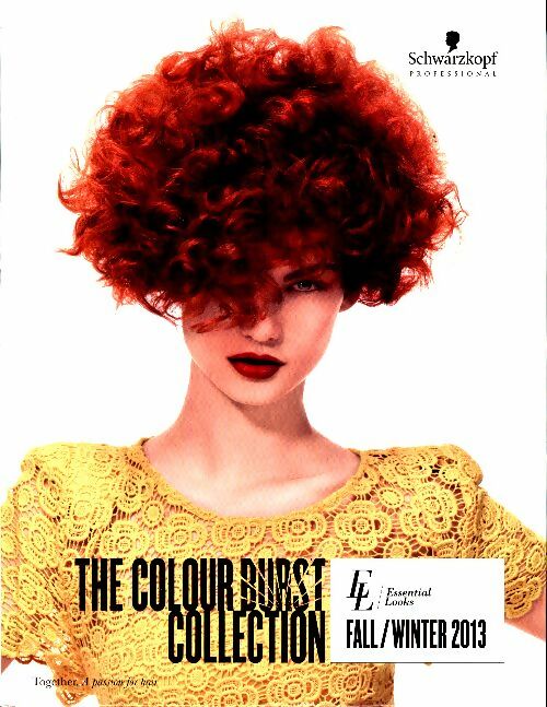 Livrenpoche : The colour burst collection Fall/winter 2013 - Collectif - Livre
