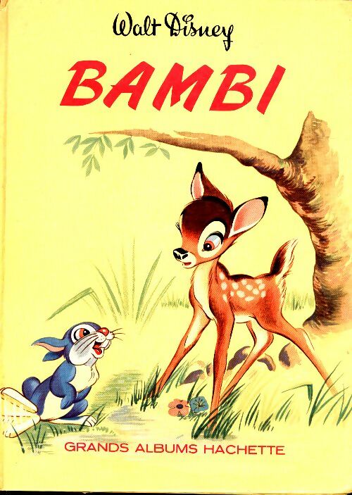 Livrenpoche : Bambi - Felix Salten - Livre